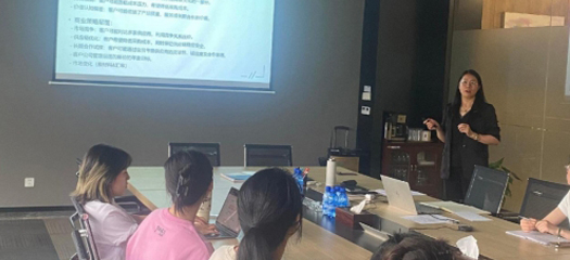 Q1 2025 Sales Strategy Review and Customer Bargaining Sharing Session