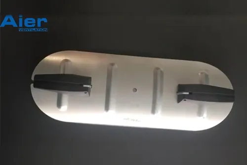 Scandinavian Curved Access Door